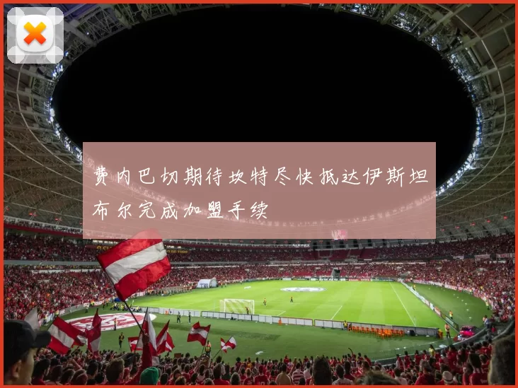 费内巴切期待坎特尽快抵达伊斯坦布尔完成加盟手续